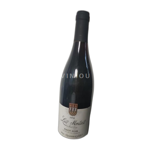 Valle della Loira Anjou Coteaux della Loira Les Montées de Saint Lay Les Montées de Saint Lay 2014