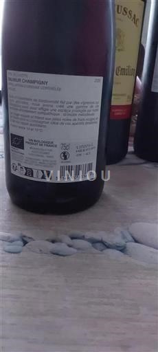 Vallée de la Loire Saumur-champigny Efil de Linotte 2020