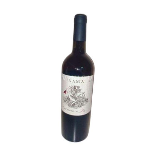 Vénétie Inama Carmenere Piu 2019