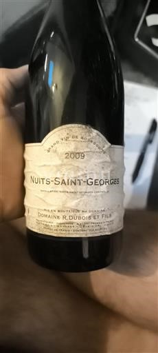 Bourgogne Nuits-Saint-Georges Domaine R. Dubois et Fils 2009