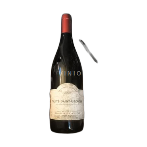 Bourgondië Nuits-saint-georges Domaine R. Dubois et Fils 2009