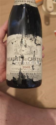 Burgundy Beaune Premier Cru Bouchard Père & Fils Beaune du Château 2005