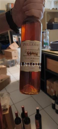 Sudoeste Côtes de Gascogne Domaine Pellehaut L'Escoubasso 2011