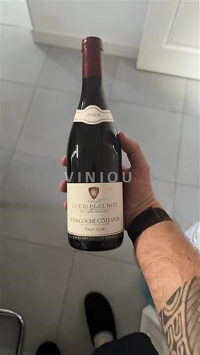 Borgogna Borgogna Côte d'Or Louis Fleurot 2023