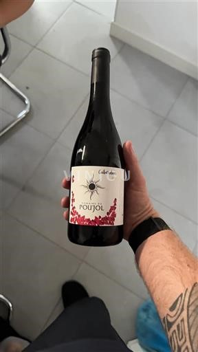 Languedoc Ospecificerad Domaine Poujol Cuberdon 2019