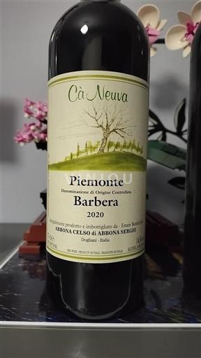 Piemonte Não especificado Cà Neuva 2020