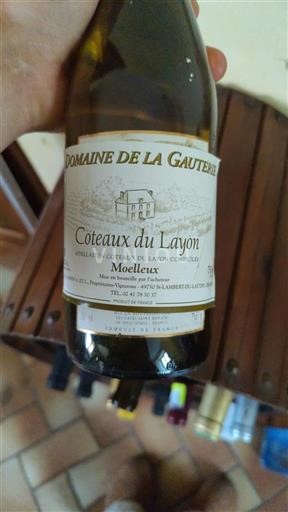 Loiredalen Coteaux-du-Layon Domaine La Gauterie 2009