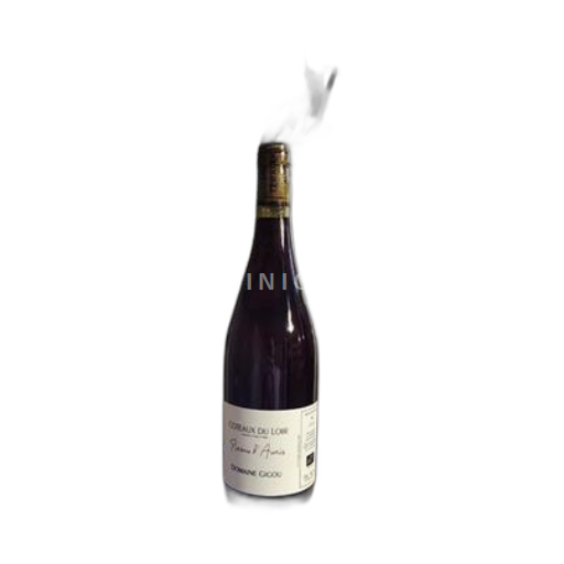 Vallée de la Loire Coteaux-du-loir Domaine Gigou Pineau d'Aunis 2023
