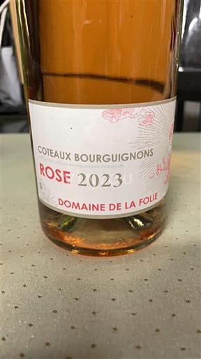 Borgogna Coteaux borgognoni Domaine La Folie 2023