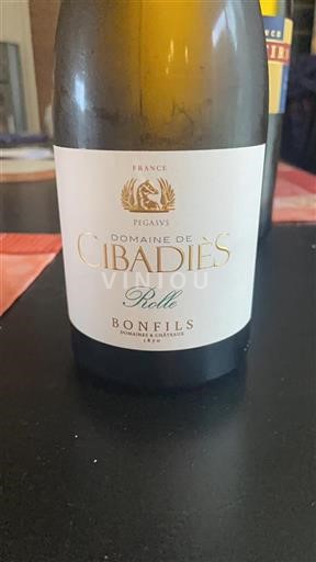 Languedoc Ikke specificeret Domaine Cibadiès Rolle 2023
