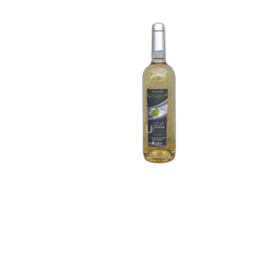Alpen und Rhônetal Coteaux der Ardèche Domaine Chazalis Plaisir de Julie Ohne Jahrgang