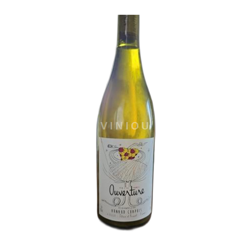 Vin Blanc sec Ouverture Arnaud Chapuis 2022 France Bourgogne Vin de France