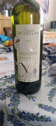 Sud-Ovest Côtes-de-duras Domaine Laulan 2023