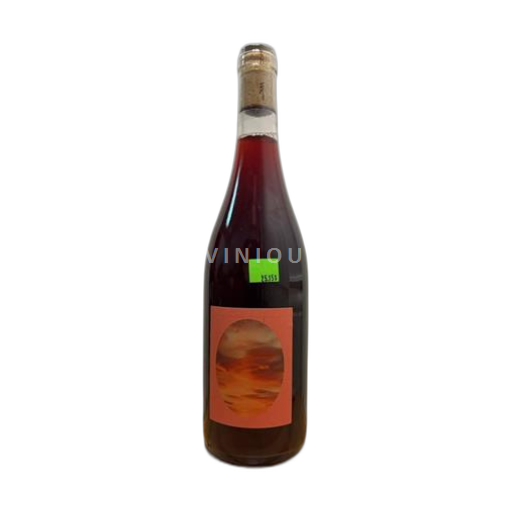 Vin Rouge sec Ariane Un Saumon dans la Loire 2022 France Vallée de la Loire AOC