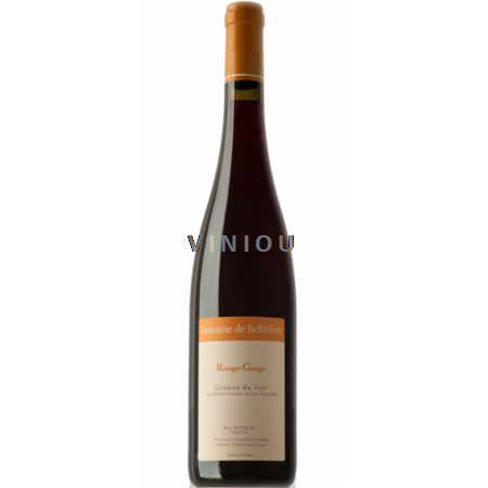 Valle della Loira Coteaux-du-loir Domaine Bellivière Rouge-Gorge 2022