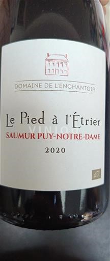 Valle della Loira Saumur Puy-Notre-Dame Domaine L'Enchantoir Le Pied à l'Étrier 2020