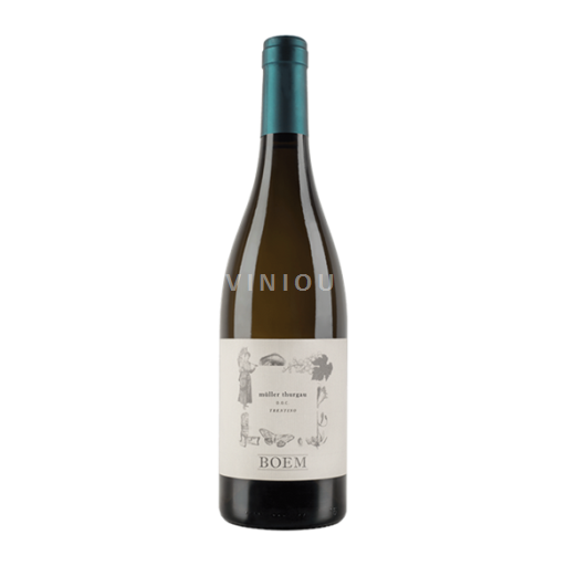 Trentino-Alto Adige Vini del Trentino-Alto Adige Müller Thurgau  (Cantina La Vis) Müller Thurgau 2023