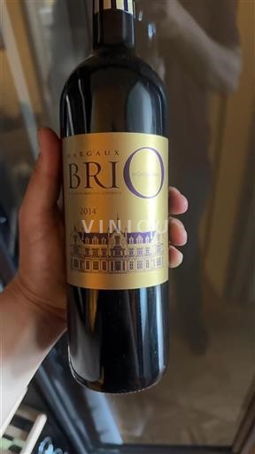 Bordeaux Margaux Cantenac Brown Brio de Cantenac Brown 2014