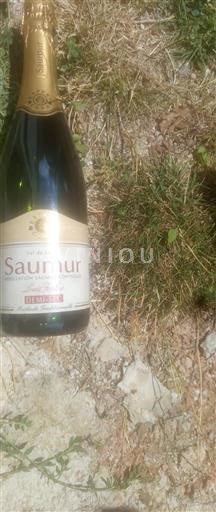Valle del Loira Saumur Louis Foulon Sin añada