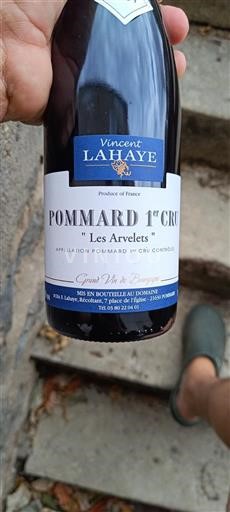 Borgogna Pommard Premier Cru Vincent Lahaye Les Arvelets Senza annata