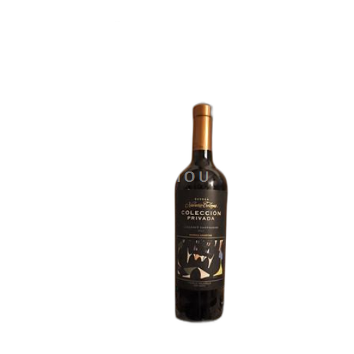 Mendoza Navarro Correas Colección Privada 2021