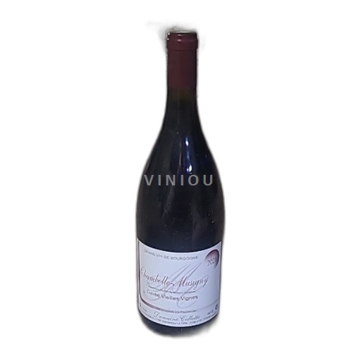 Borgogna Chambolle-Musigny Domaine Collotte Vielles vignes 2021