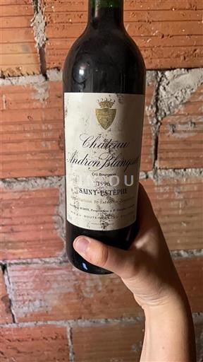 Bordeaux Saint-Estèphe Cru Bourgeois Andron Blanquet 1996