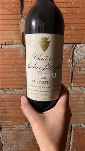 Bordeaux Saint-Estèphe Cru Bourgeois Andron Blanquet 2002
