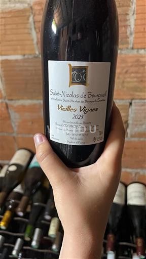 Valle della Loira Saint-Nicolas-De-Bourgueil GODEFROY Jérôme Vieilles Vignes 2023