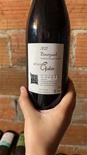 Vallée de la Loire Bourgueil Domaine Godefroy Réserve Gabin 2022