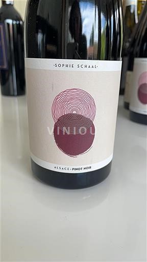 Alsace Grand Cru Sophie Schaal 2023