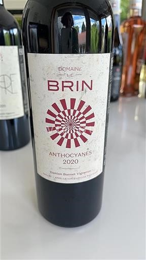 Sudoeste Gaillac Domaine Brin Anthocyanes 2020
