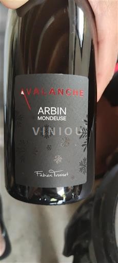 Jura Arbois Fabien Trosset Avalanche 2021