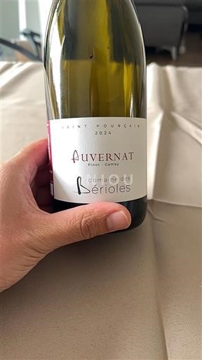 Valle della Loira Saint-Pourçain Domaine Des Bérioles Auvernat 2024
