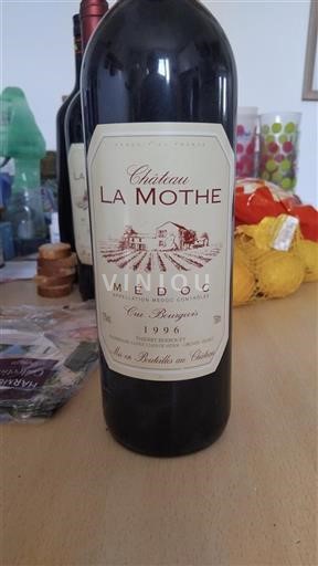 Bordeaux Médoc Cru Bourgeois Château La Mothe 1996