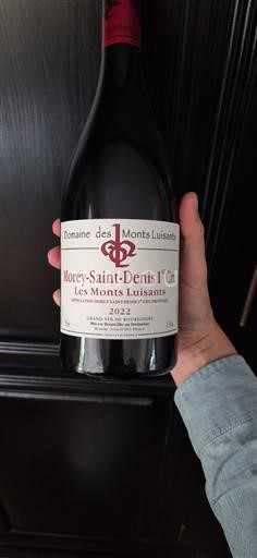 Burgundy Morey-Saint-Denis Premier Cru Domaine Des Monts Luisants Les Monts Luisants 2022