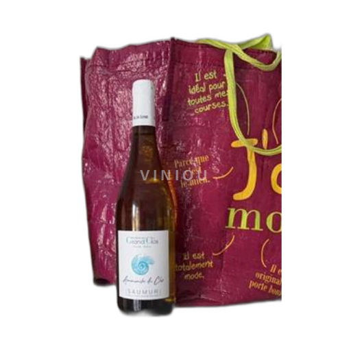 Vin Blanc sec Ammonite du Clos Domaine Grand Clos 2023 France Vallée de la Loire Saumur AOC