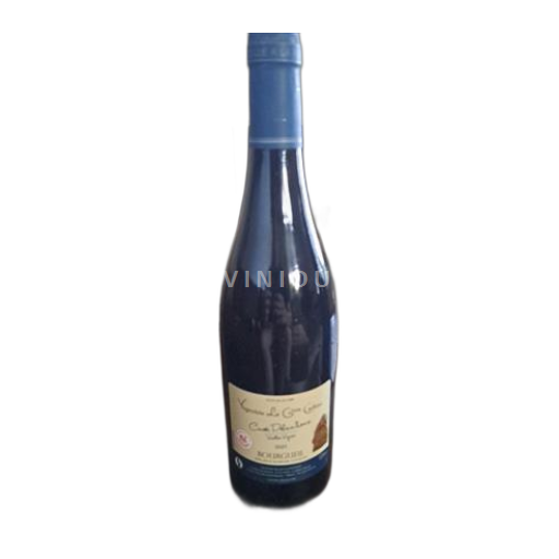 Loiretal Bourgueil Vignoble Le Gros Caillou Delan'houx 2021