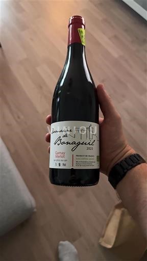 Sydvestfrankrig Côtes du Lot Domaine Bonaguil 2023