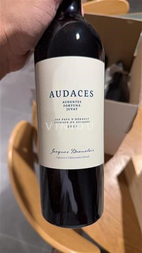 Linguadoca Non specificato Jacques Beauclair Audaces 2023