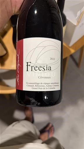 Languedoc-Roussillon Cévennes Mas Espanet Freesia 2023