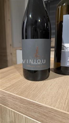 Valle della Loira Non specificato Domaine Des Luces Influence 2022