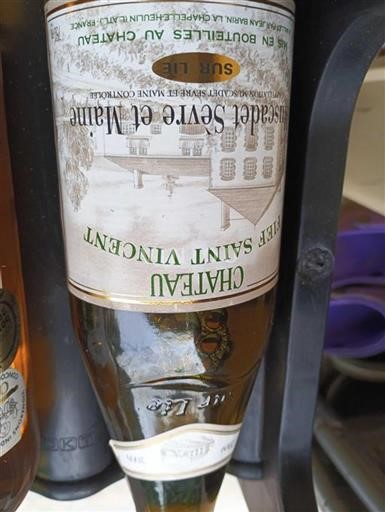 Vin Blanc sec Château Saint Vincent Non millésimé France Vallée de la Loire Muscadet-sèvre-et-maine