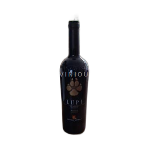 Vin Rouge sec Reserva Gitana Winery 2018 Moldavie Budesti nature