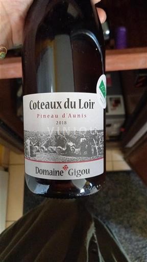 Vallée de la Loire Coteaux-du-loir Domaine Gigou Pineau d’Aunis 2018
