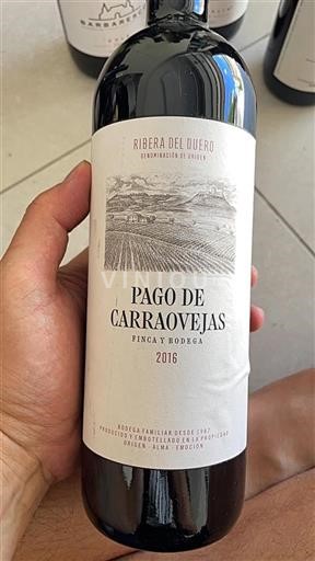 Kastilien och León Ribera del Duero Pago de Carraovejas 2016