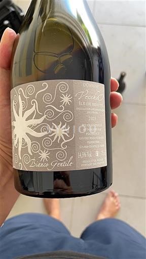 Córcega Isla de Belleza Domaine Vecchio Bianco Gentile 2021