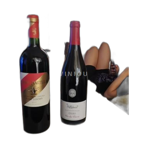 Vin Rouge sec Clos des Chevris Millebuis 2019 France Bourgogne Givry AOC
