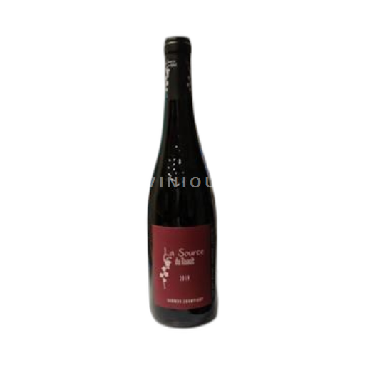 Valle della Loira Saumur-Champigny La Source du Ruault 2019