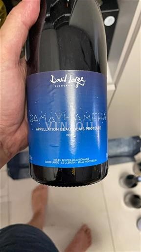 Vin Rouge sec Gamayhaméha David Large 2018 France Beaujolais